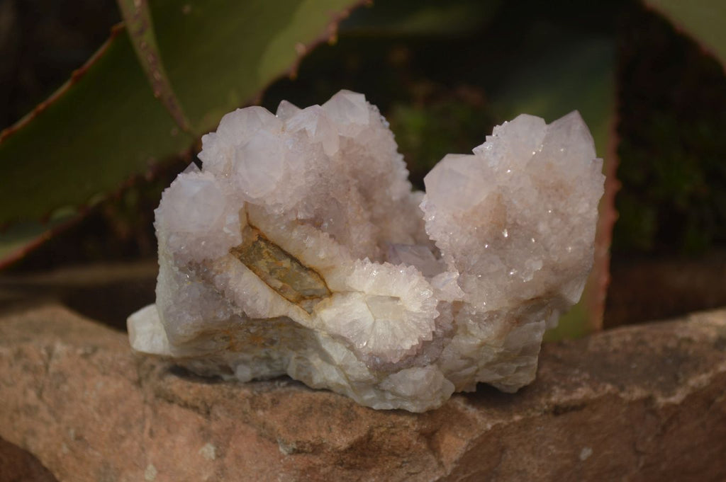 Natural Pale Lilac Spirit Quartz Clusters x 3 From Boekenhouthoek, South Africa - Toprock Gemstones and Minerals 