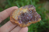 Natural Small Dark "Amethystos" Amethyst Clusters  x 35 From Kwaggafontein, South Africa - Toprock Gemstones and Minerals 