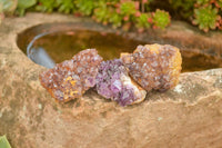 Natural Small Dark "Amethystos" Amethyst Clusters x 63 From Kwaggafontein, South Africa - TopRock