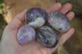 Polished Amethyst Galet / Palm Stones x 12 From Madagascar - Toprock Gemstones and Minerals 