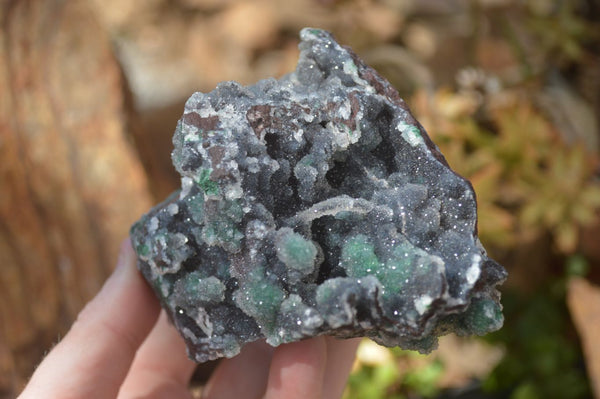 Natural Drusy Coated Ball Malachite On Dolomite Specimens x 2 From Likasi, Congo - Toprock Gemstones and Minerals 