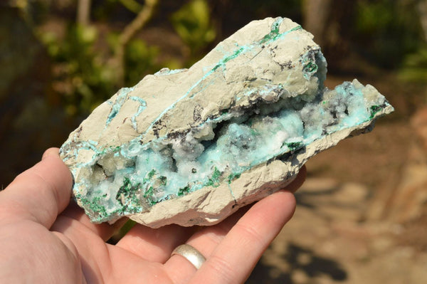 Natural Drusy Chrysocolla Dolomite Specimens With Malachite On Some  x 6 From Likasi, Congo - TopRock