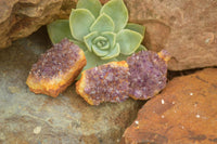 Natural Small Dark "Amethystos" Amethyst Clusters x 63 From Kwaggafontein, South Africa - TopRock