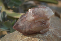 Natural Red Hematoid Quartz Specimens x 12 From Karoi, Zimbabwe - Toprock Gemstones and Minerals 