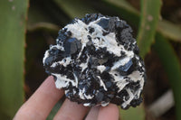 Natural Schorl Black Tourmaline Specimens x 6 From Erongo, Namibia - Toprock Gemstones and Minerals 