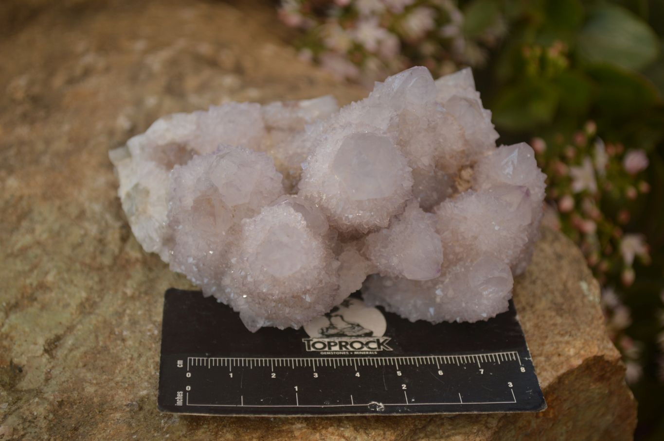 Natural Pale Lilac Spirit Quartz Clusters x 3 From Boekenhouthoek, South Africa - Toprock Gemstones and Minerals 