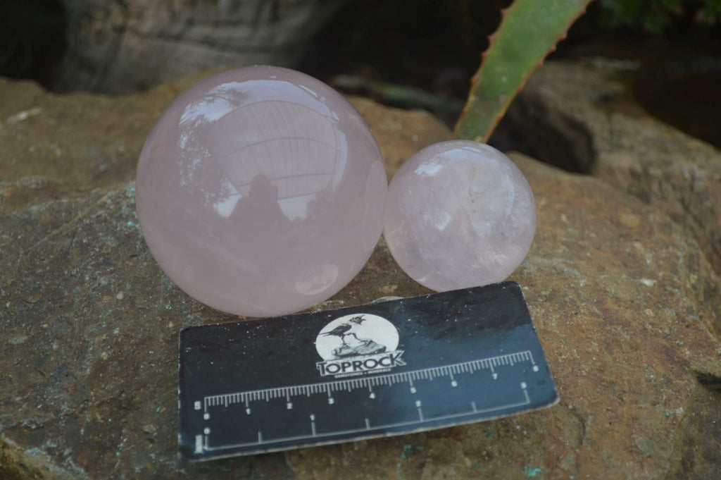 Polished Star Rose Quartz Spheres  x 6 From Ambatondrazaka, Madagascar - Toprock Gemstones and Minerals 