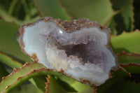 Polished Crystal Centred Agate Geodes  x 5 From Madagascar