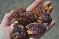 Natural Small Dark "Amethystos" Amethyst Clusters  x 35 From Kwaggafontein, South Africa - Toprock Gemstones and Minerals 
