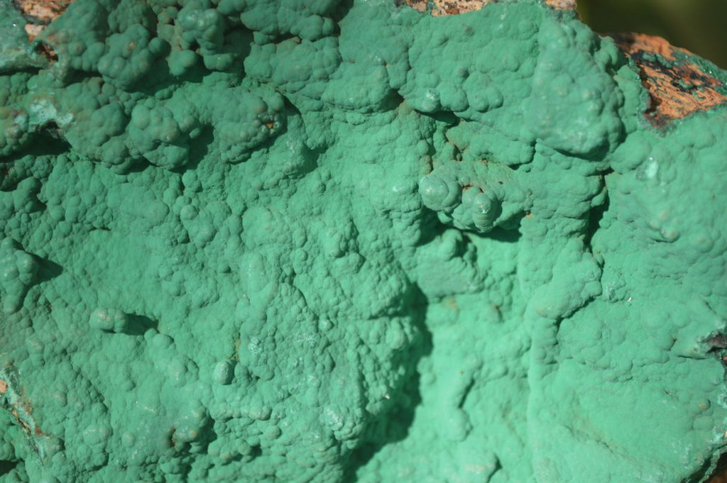 Natural Micro Botryoidal Crystalline Malachite Specimens  x 2 From Congo - Toprock Gemstones and Minerals 