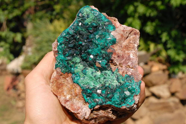 Natural Dioptase & Malachite On Dolomite  x 1 From Congo - TopRock