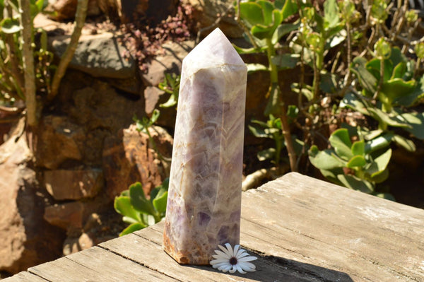 Polished Pale Dream Amethyst Point  x 1 From Madagascar