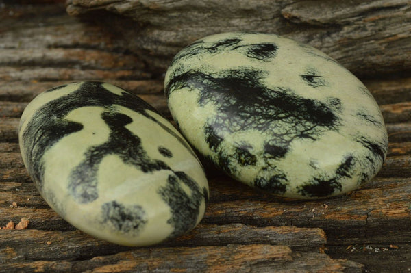Polished Large Leopard Stone Serpentine Gallets x 6 From Zimbabwe - TopRock