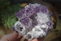 Natural Sugar Amethyst Clusters  x 6 From Solwezi, Zambia - Toprock Gemstones and Minerals 