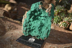 Natural Micro Botryoidal Crystalline Malachite Specimens  x 2 From Congo - Toprock Gemstones and Minerals 