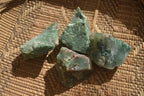 Natural Rough Jade Cobbed Specimens x 24 From Swaziland - Toprock Gemstones and Minerals 
