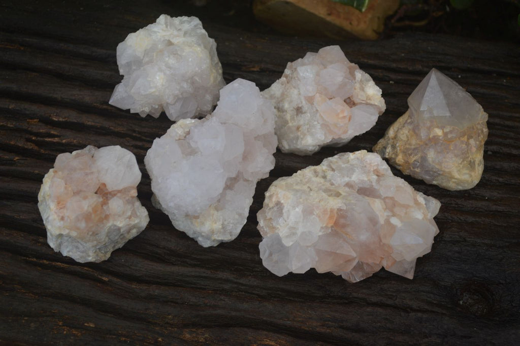 Natural White Cactus Flower Spirit Quartz Specimens x 6 From Boekenhouthoek, South Africa - Toprock Gemstones and Minerals 