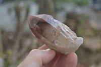 Natural Red Hematoid Quartz Specimens x 12 From Karoi, Zimbabwe - Toprock Gemstones and Minerals 