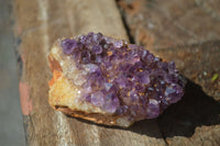 Natural Small Dark "Amethystos" Amethyst Clusters  x 35 From Kwaggafontein, South Africa - Toprock Gemstones and Minerals 