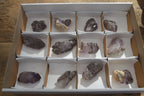 Natural Window Amethyst Crystals  x 12 From Chiredzi, Zimbabwe - Toprock Gemstones and Minerals 