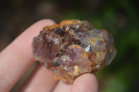 Natural Small Dark "Amethystos" Amethyst Clusters  x 35 From Kwaggafontein, South Africa - Toprock Gemstones and Minerals 
