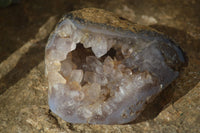 Polished Crystal Centred Agate Geodes  x 5 From Madagascar