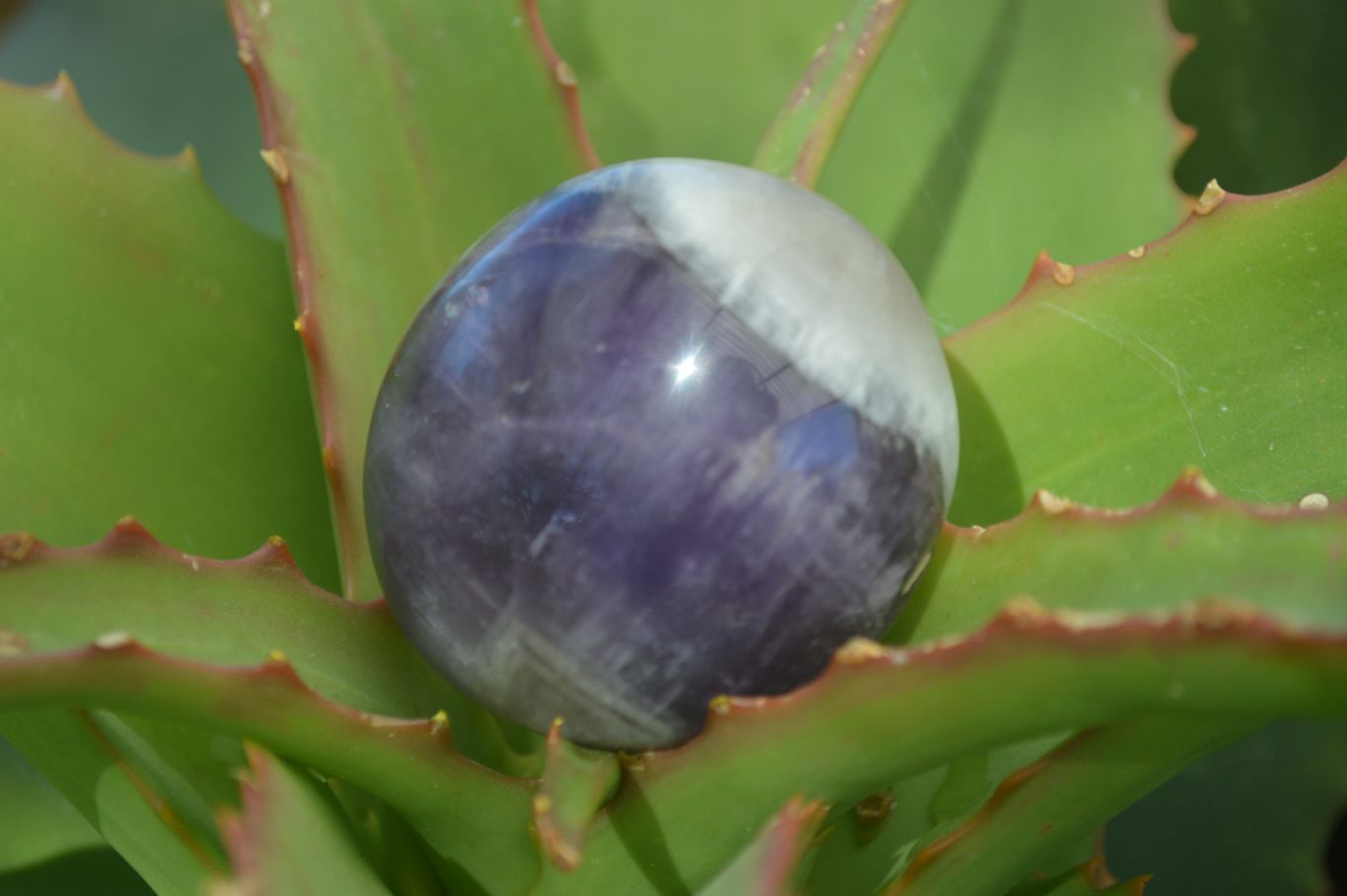 Polished Amethyst Galet / Palm Stones x 12 From Madagascar - Toprock Gemstones and Minerals 