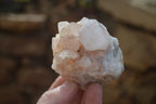 Natural White Cactus Flower Spirit Quartz Specimens x 6 From Boekenhouthoek, South Africa - Toprock Gemstones and Minerals 