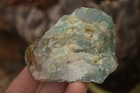 Natural Rough Jade Cobbed Specimens x 24 From Swaziland - Toprock Gemstones and Minerals 