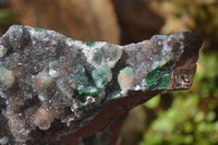 Natural Drusy Coated Ball Malachite On Dolomite Specimens x 2 From Likasi, Congo - Toprock Gemstones and Minerals 
