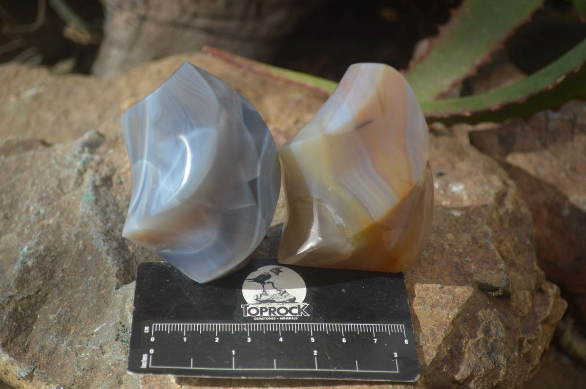 Polished Banded Agate Flames  x 6 From West Coast, Madagascar - Toprock Gemstones and Minerals 