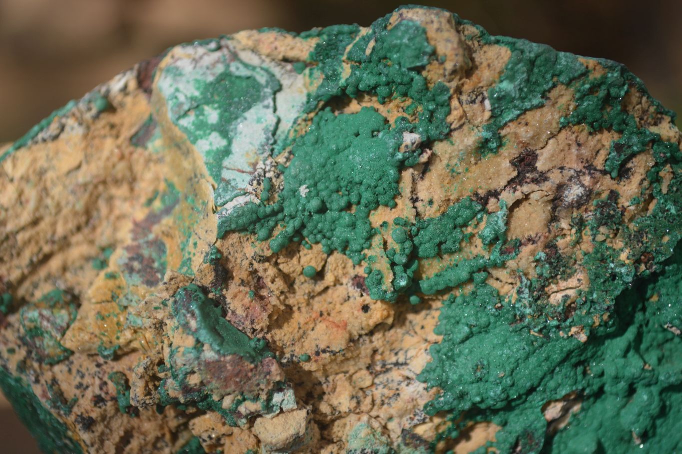 Natural Micro Botryoidal Crystalline Malachite Specimens  x 2 From Congo - Toprock Gemstones and Minerals 