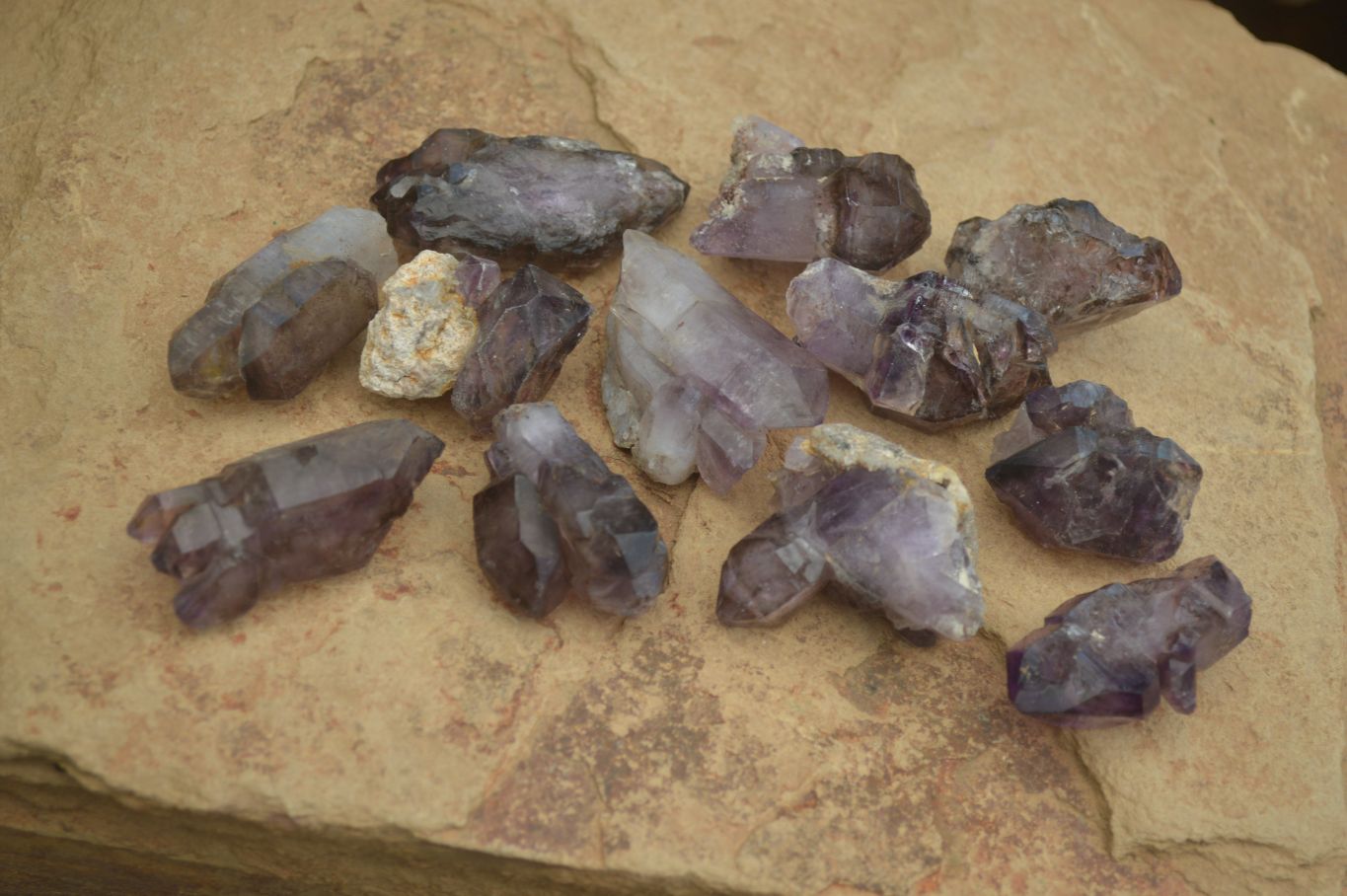 Natural Window Amethyst Crystals  x 12 From Chiredzi, Zimbabwe - Toprock Gemstones and Minerals 