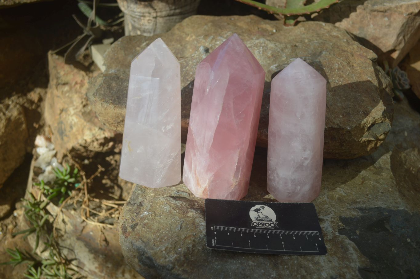 Polished Gemmy Rose Quartz Points x 3 From Madagascar - Toprock Gemstones and Minerals 