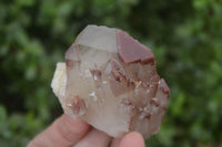 Natural Red Hematoid Quartz Specimens x 12 From Karoi, Zimbabwe - Toprock Gemstones and Minerals 