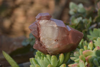 Natural Red Hematoid Quartz Specimens x 12 From Karoi, Zimbabwe - Toprock Gemstones and Minerals 