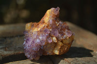 Natural Small Dark "Amethystos" Amethyst Clusters  x 35 From Kwaggafontein, South Africa - Toprock Gemstones and Minerals 