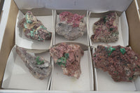 Natural Pink Salrose Cobaltion Dolomite Specimens x 6 From Kakanda, Congo - Toprock Gemstones and Minerals 