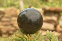 Polished Rare Sparkling Blue Water (Iolite) Sapphire Spheres  x 6 From Madagascar - TopRock