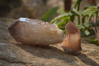 Natural Red Hematoid Quartz Specimens x 12 From Karoi, Zimbabwe - Toprock Gemstones and Minerals 
