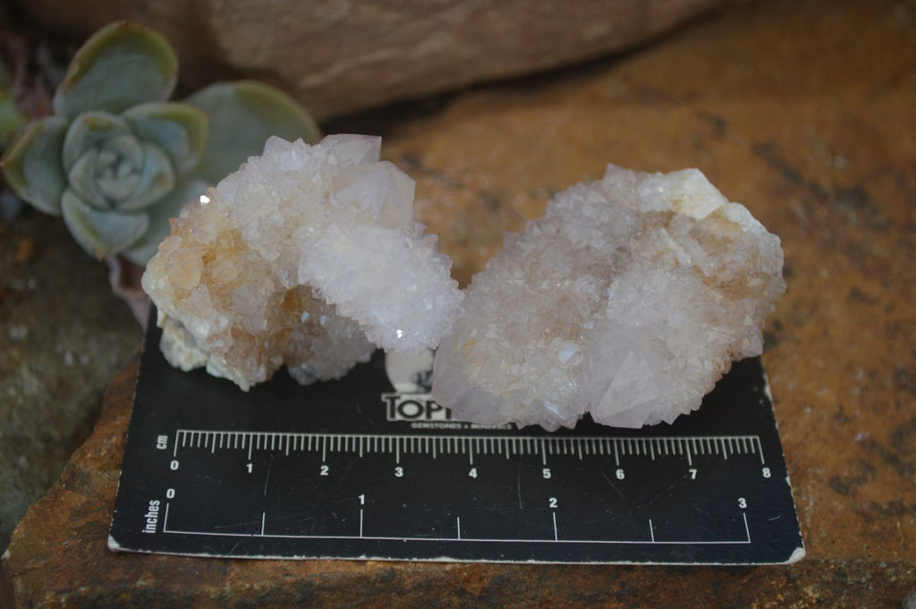 Natural Mixed Spirit Quartz Clusters  x 20 From Boekenhouthoek, South Africa - Toprock Gemstones and Minerals 