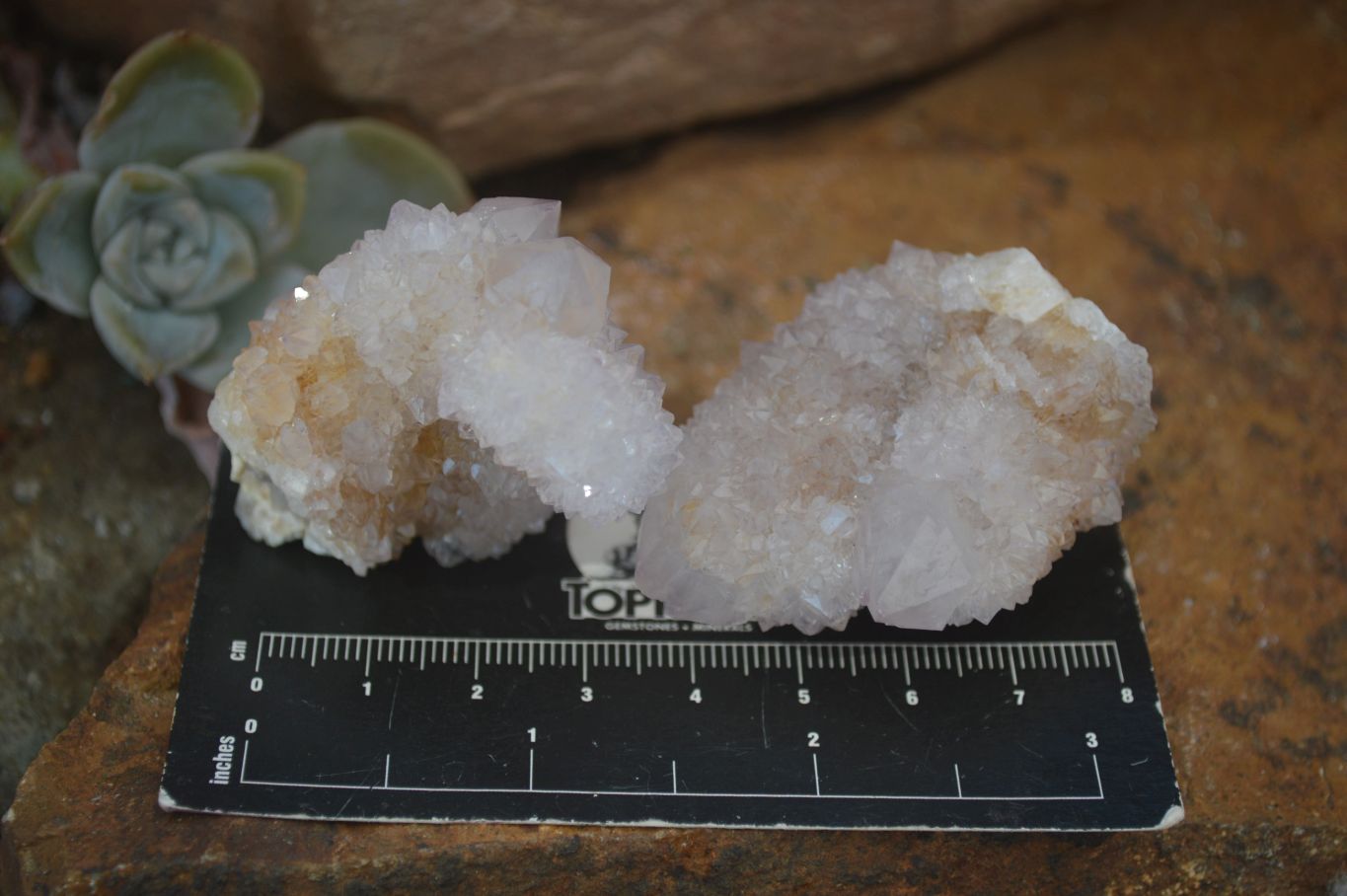 Natural Mixed Spirit Quartz Clusters  x 20 From Boekenhouthoek, South Africa - Toprock Gemstones and Minerals 