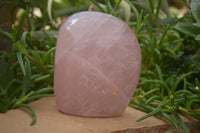 Polished Pink Rose Quartz Standing Free Forms x 2 From Ambatondrazaka, Madagascar - TopRock