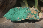 Natural Micro Botryoidal Crystalline Malachite Specimens  x 2 From Congo - Toprock Gemstones and Minerals 