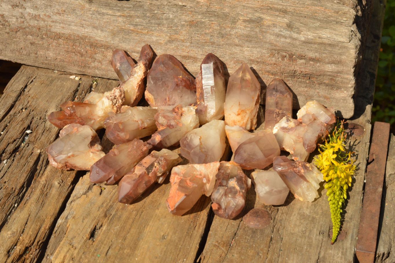 Natural Single Red Hematoid Phantom Quartz Crystals  x 35 From Karoi, Zimbabwe - TopRock