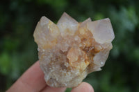 Natural Small Spirit Ametrine Quartz Clusters  x 12 From Boekenhouthoek, South Africa - Toprock Gemstones and Minerals 