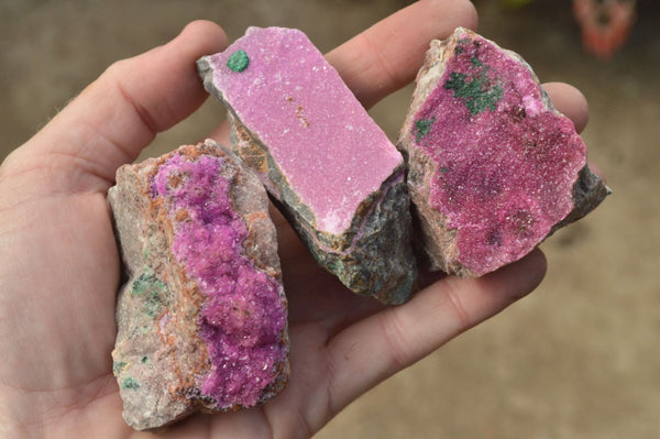 Natural Pink Salrose Cobaltion Dolomite Specimens x 12 From Kakanda, Congo - TopRock