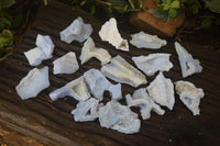 Natural Etched Blue Chalcedony Specimens x 35 From Nsanje, Malawi - Toprock Gemstones and Minerals 