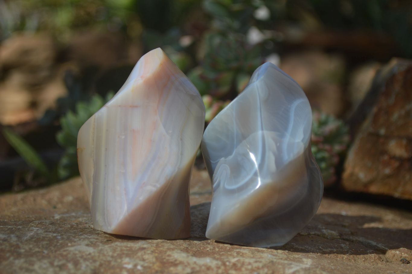 Polished Banded Agate Flames  x 6 From West Coast, Madagascar - Toprock Gemstones and Minerals 