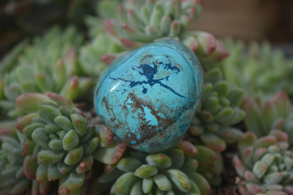 Polished Blue Shattuckite Free Forms  x 6 From Kaokoveld, Namibia - Toprock Gemstones and Minerals 